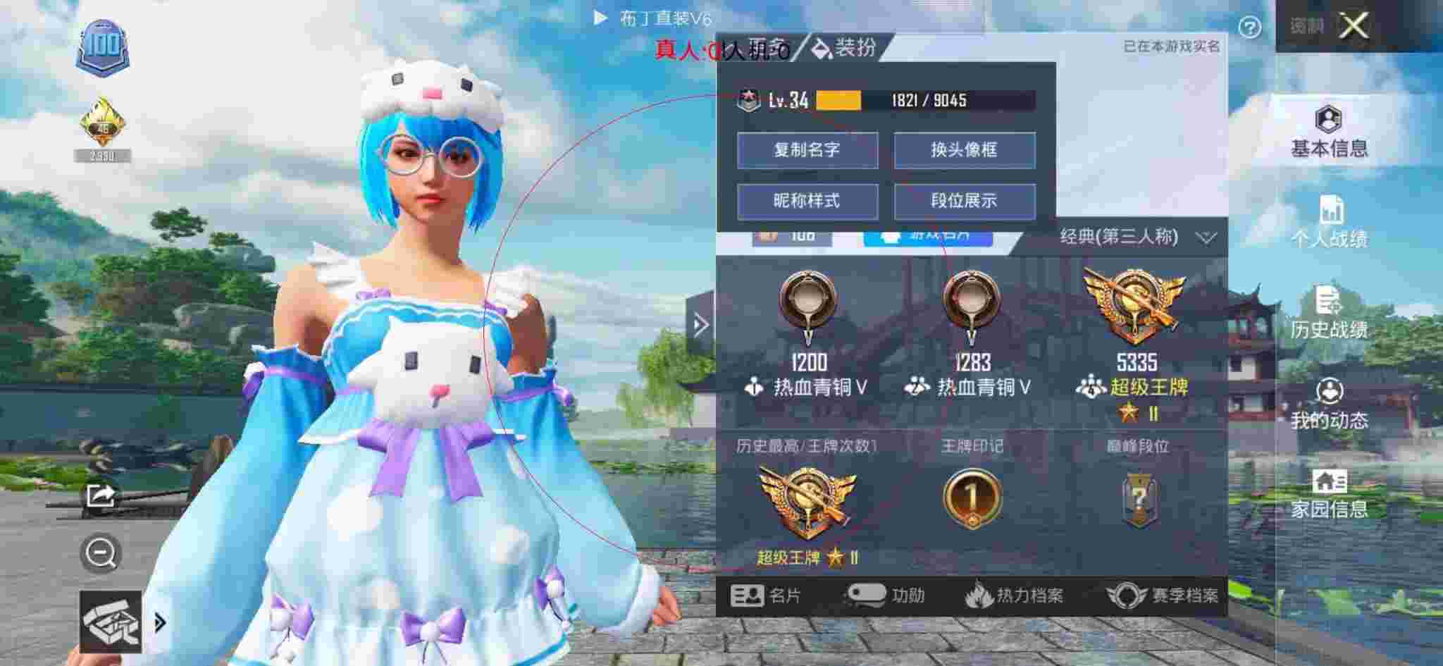 和平精英布丁直装透视 - 和平精英科技系列皮肤图片辅助预览图